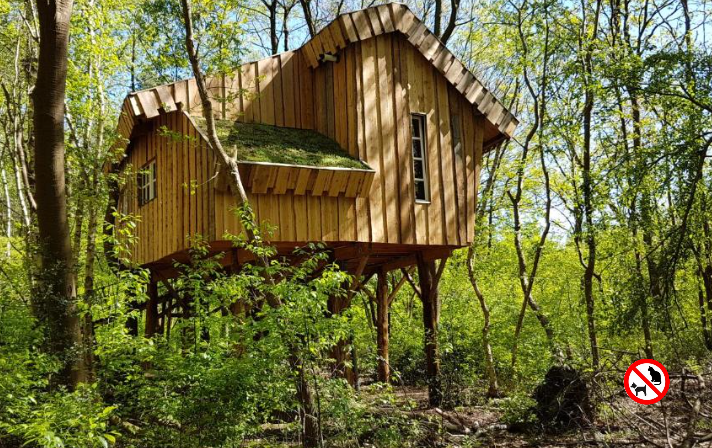 Camping de Reeënwissel (Dr) 4p Boomhut