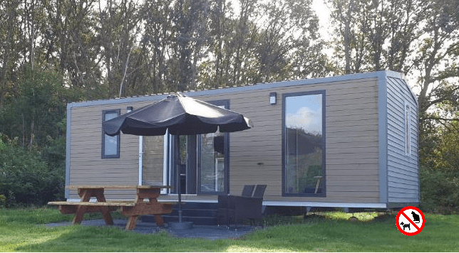 Camping de Reeënwissel (Dr) 4p, Chalet