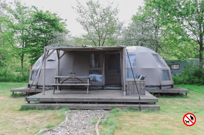 Camping de Reeënwissel (Dr) 4p Panorama