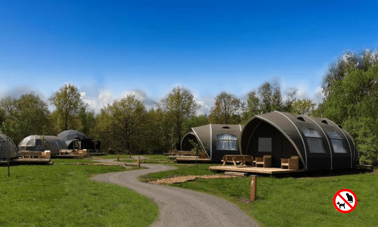 Camping de Reeënwissel (Dr) 6p, Big Oak