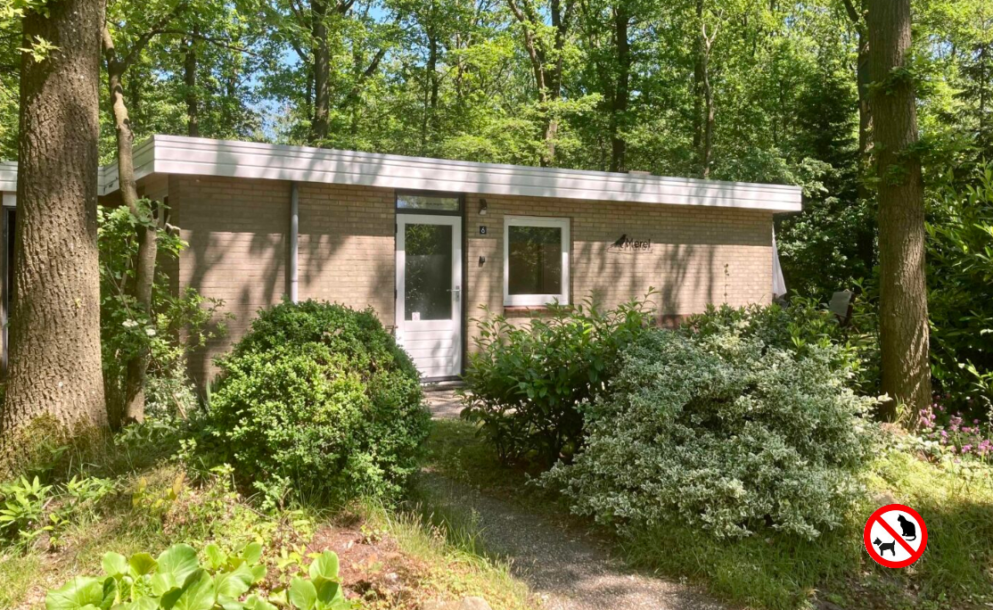 Vakantiehuis Zorgvlied (Dr) 6p