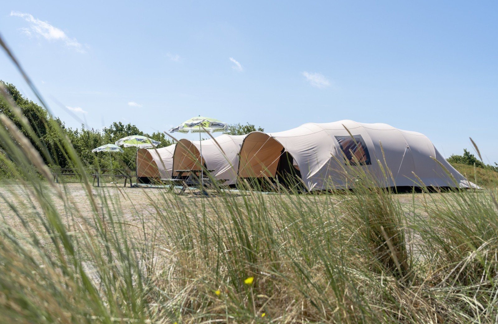 Duincamping De Lepelaar, Sint Maartenszee (NH) 4p