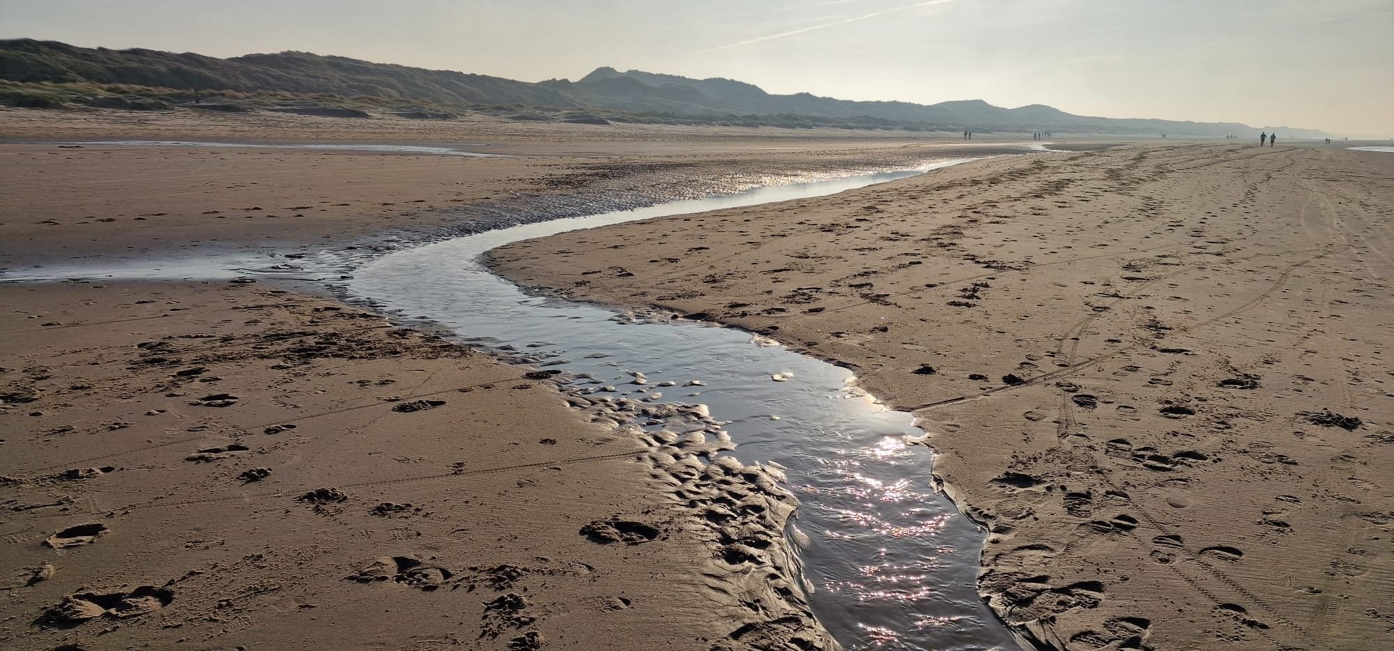 Env beach stream t sqsugl