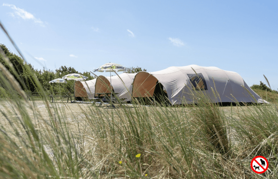 Duincamping De Lepelaar, Sint Maartenszee (NH) 4p
